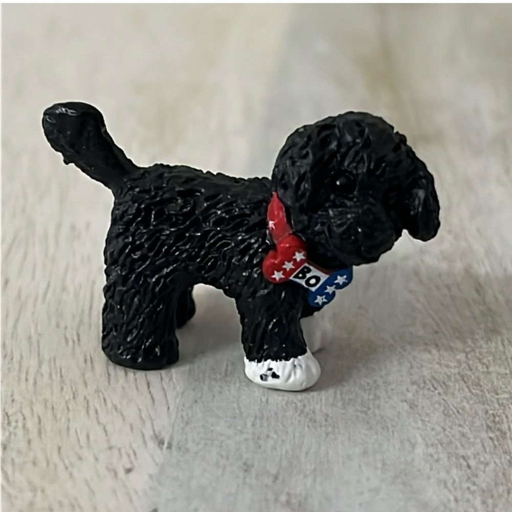Bo Obama - President Barack Obama's beloved Pet Bo - Collector item